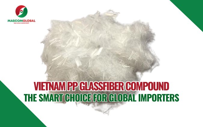 Vietnam PP Glassfiber Compound – The Smart Choice for Global Importers