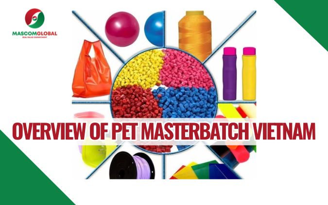 PET Masterbatch Vietnam: The Optimal Solution for Premium Plastic Products