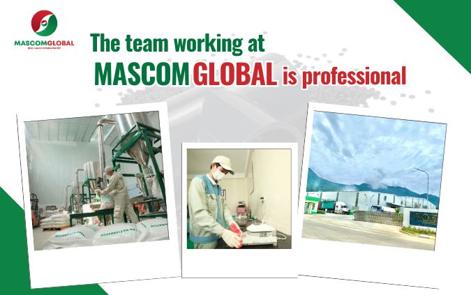 The team working at MASCOM GLOBAL is professional.