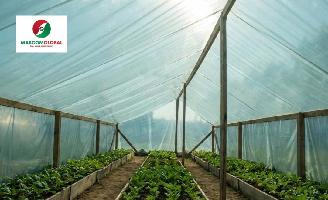 Applications of UV Light Stabilizers Additives